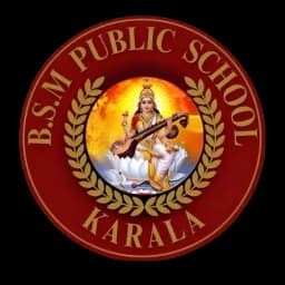 BSM Public School Logo